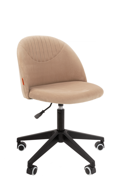 CHAIRMAN 119 home