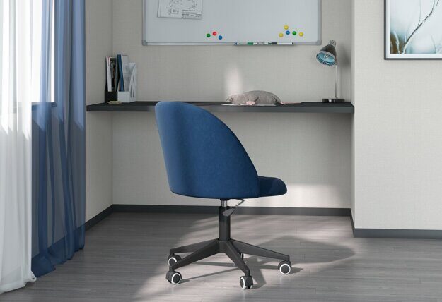 CHAIRMAN 119 home