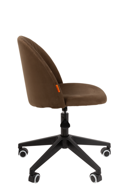 CHAIRMAN 119 home