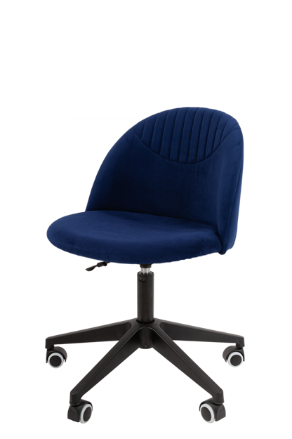 CHAIRMAN 119 home